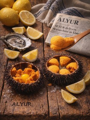 Sea Urchin (Uni) France, 3kg/box, £68.25